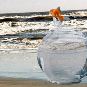 Зона-комфорта