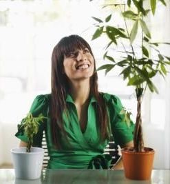 Идеи вырастут и дадут плоды