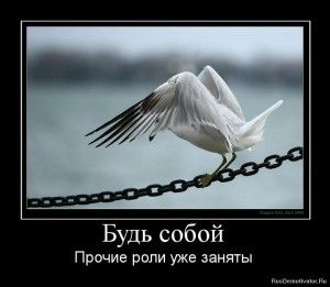 0_cc3ae_91533276_orig