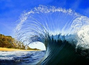 poster_patagonia_japan_film